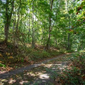 Photo #15 of JACKSON LANE, BOSTON, VA 10.0 acres