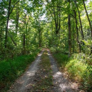 Photo #17 of JACKSON LANE, BOSTON, VA 10.0 acres