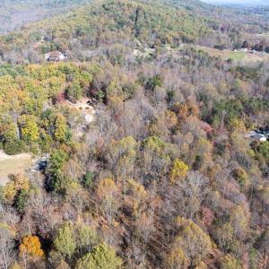 Photo #21 of JACKSON LANE, BOSTON, VA 10.0 acres