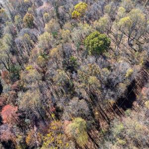 Photo #24 of JACKSON LANE, BOSTON, VA 10.0 acres