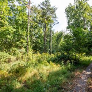 Photo #11 of JACKSON LANE, BOSTON, VA 10.0 acres