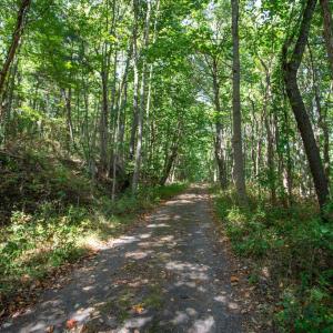 Photo #16 of JACKSON LANE, BOSTON, VA 10.0 acres