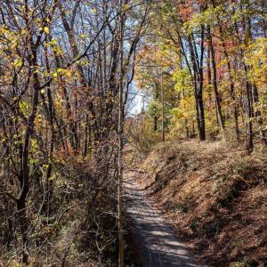 Photo #26 of JACKSON LANE, BOSTON, VA 10.0 acres