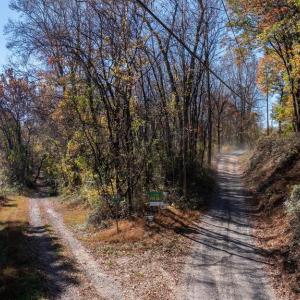 Photo #27 of JACKSON LANE, BOSTON, VA 10.0 acres