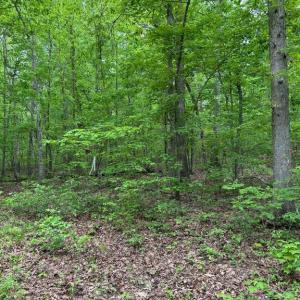 Photo #1 of R/W OFF JUSTICE LN, ORANGE, VA 10.0 acres