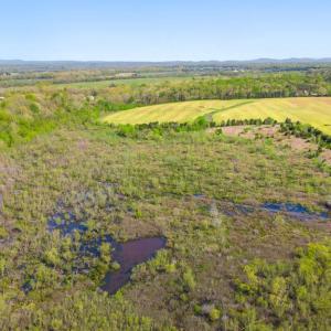 Photo #23 of 9366 ELK RUN RD, CATLETT, VA 148.0 acres
