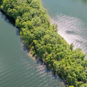 Photo #19 of BUSBEES POINT RD, BUMPASS, VA 2.8 acres