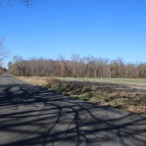 Photo #10 of 4249 MIDLAND RD, MIDLAND, VA 120.3 acres