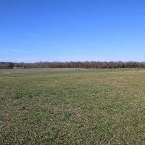 Photo #12 of 4249 MIDLAND RD, MIDLAND, VA 120.3 acres