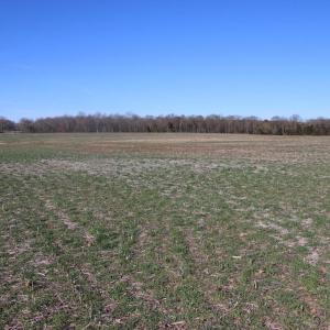 Photo #14 of 4249 MIDLAND RD, MIDLAND, VA 120.3 acres