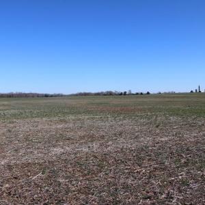 Photo #15 of 4249 MIDLAND RD, MIDLAND, VA 120.3 acres