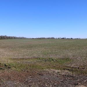 Photo #16 of 4249 MIDLAND RD, MIDLAND, VA 120.3 acres