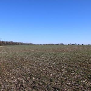 Photo #17 of 4249 MIDLAND RD, MIDLAND, VA 120.3 acres