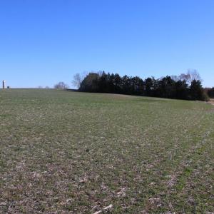 Photo #18 of 4249 MIDLAND RD, MIDLAND, VA 120.3 acres