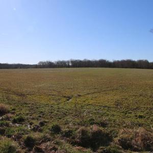Photo #19 of 4249 MIDLAND RD, MIDLAND, VA 120.3 acres