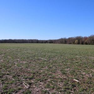 Photo #20 of 4249 MIDLAND RD, MIDLAND, VA 120.3 acres