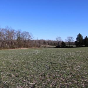 Photo #21 of 4249 MIDLAND RD, MIDLAND, VA 120.3 acres