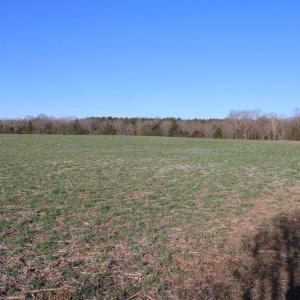 Photo #25 of 4249 MIDLAND RD, MIDLAND, VA 120.3 acres