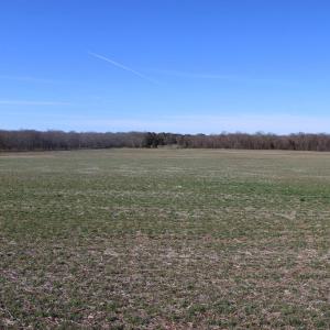 Photo #26 of 4249 MIDLAND RD, MIDLAND, VA 120.3 acres