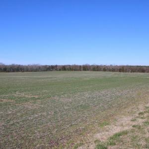 Photo #27 of 4249 MIDLAND RD, MIDLAND, VA 120.3 acres