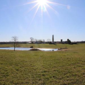 Photo #45 of 4249 MIDLAND RD, MIDLAND, VA 120.3 acres