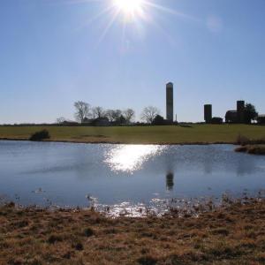 Photo #46 of 4249 MIDLAND RD, MIDLAND, VA 120.3 acres