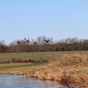 Photo #48 of 4249 MIDLAND RD, MIDLAND, VA 120.3 acres