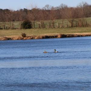 Photo #50 of 4249 MIDLAND RD, MIDLAND, VA 120.3 acres
