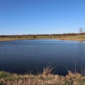 Photo #51 of 4249 MIDLAND RD, MIDLAND, VA 120.3 acres