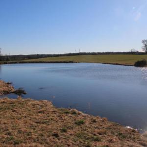 Photo #52 of 4249 MIDLAND RD, MIDLAND, VA 120.3 acres