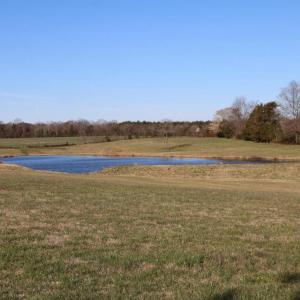 Photo #53 of 4249 MIDLAND RD, MIDLAND, VA 120.3 acres