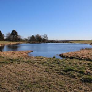 Photo #54 of 4249 MIDLAND RD, MIDLAND, VA 120.3 acres