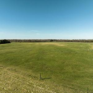 Photo #55 of 4249 MIDLAND RD, MIDLAND, VA 120.3 acres