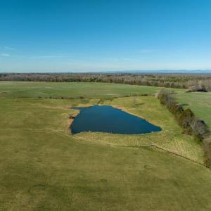 Photo #56 of 4249 MIDLAND RD, MIDLAND, VA 120.3 acres