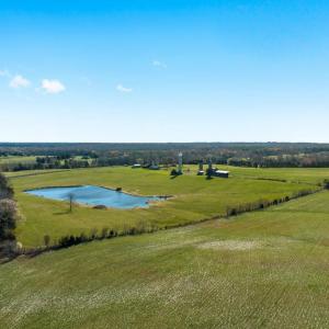 Photo #57 of 4249 MIDLAND RD, MIDLAND, VA 120.3 acres