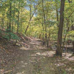 Photo #4 of FIERY RUN RD, LINDEN, VA 308.5 acres