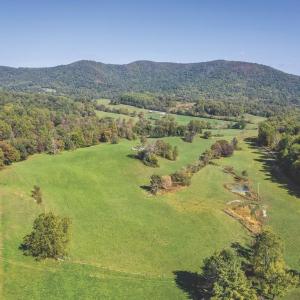 Photo #5 of FIERY RUN RD, LINDEN, VA 308.5 acres