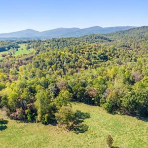 Photo #16 of FIERY RUN RD, LINDEN, VA 308.5 acres