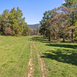 Photo #21 of FIERY RUN RD, LINDEN, VA 308.5 acres