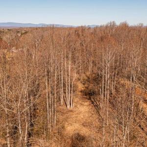 Photo #17 of 8158 BOTHA RD, WARRENTON, VA 26.5 acres
