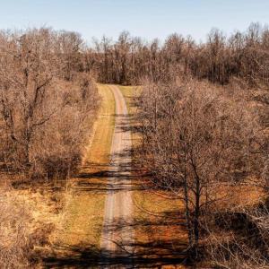 Photo #22 of 8158 BOTHA RD, WARRENTON, VA 26.5 acres