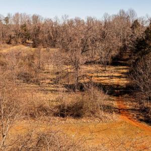 Photo #26 of 8158 BOTHA RD, WARRENTON, VA 26.5 acres