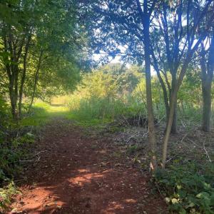 Photo #4 of JAMES MADISON HWY, GORDONSVILLE, VA 7.4 acres