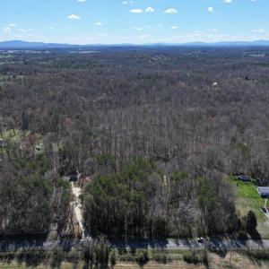 Photo #12 of TANNERS, ORANGE, VA 40.0 acres