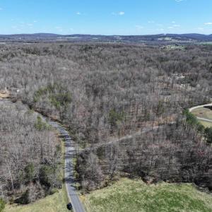 Photo #3 of TANNERS, ORANGE, VA 40.0 acres