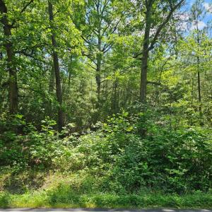 Photo #1 of MT OLIVE RD, BEAVERDAM, VA 11.3 acres
