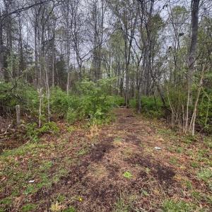 Photo #1 of OLD STILLHOUSE RD, CULPEPER, VA 5.6 acres