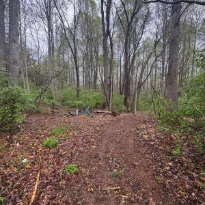 Photo #3 of OLD STILLHOUSE RD, CULPEPER, VA 5.6 acres