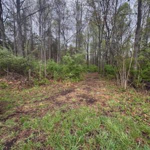 Photo #5 of OLD STILLHOUSE RD, CULPEPER, VA 5.6 acres