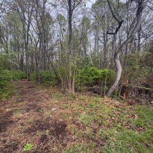 Photo #6 of OLD STILLHOUSE RD, CULPEPER, VA 5.6 acres